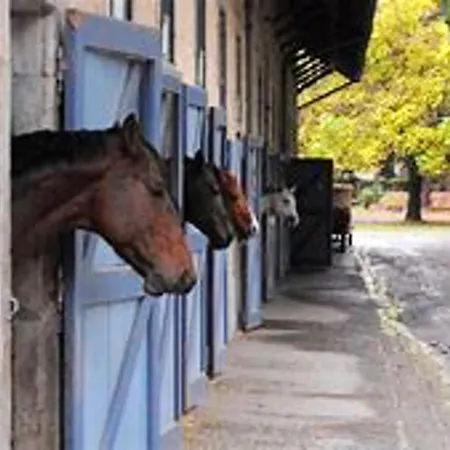 Cosy A - Terrasse Et Jardin Cloture 아파트 *