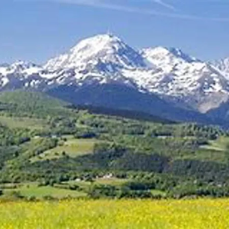 Cosy A - Terrasse Et Jardin Cloture Apartment Tarbes