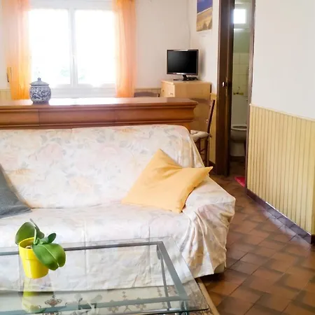 Cosy à - Terrasse Et Jardin Clôturé Tarbes